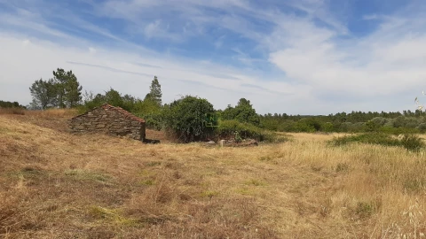 Quinta T0 para Venda em Sarzedas