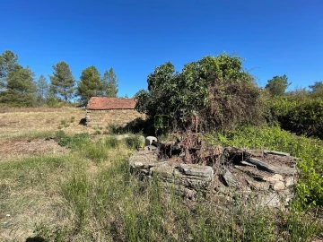 Quinta T0 para Venda em Sarzedas
