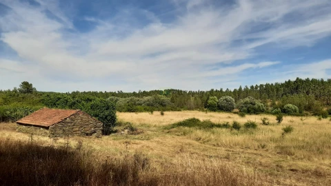 Quinta T0 para Venda em Sarzedas