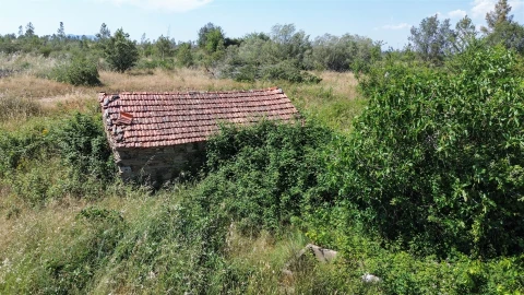 Quinta T0 para Venda em Sarzedas