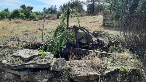 Quinta T0 para Venda em Sarzedas