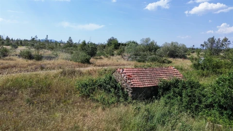 Quinta T0 para Venda em Sarzedas