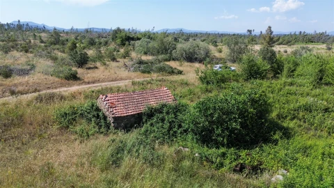 Quinta T0 para Venda em Sarzedas