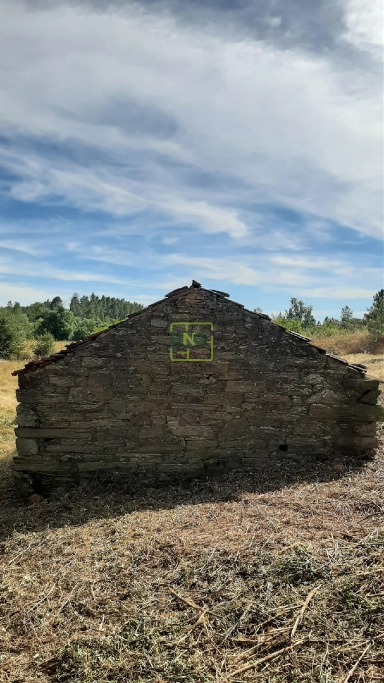 Quinta T0 para Venda em Sarzedas Foto 19