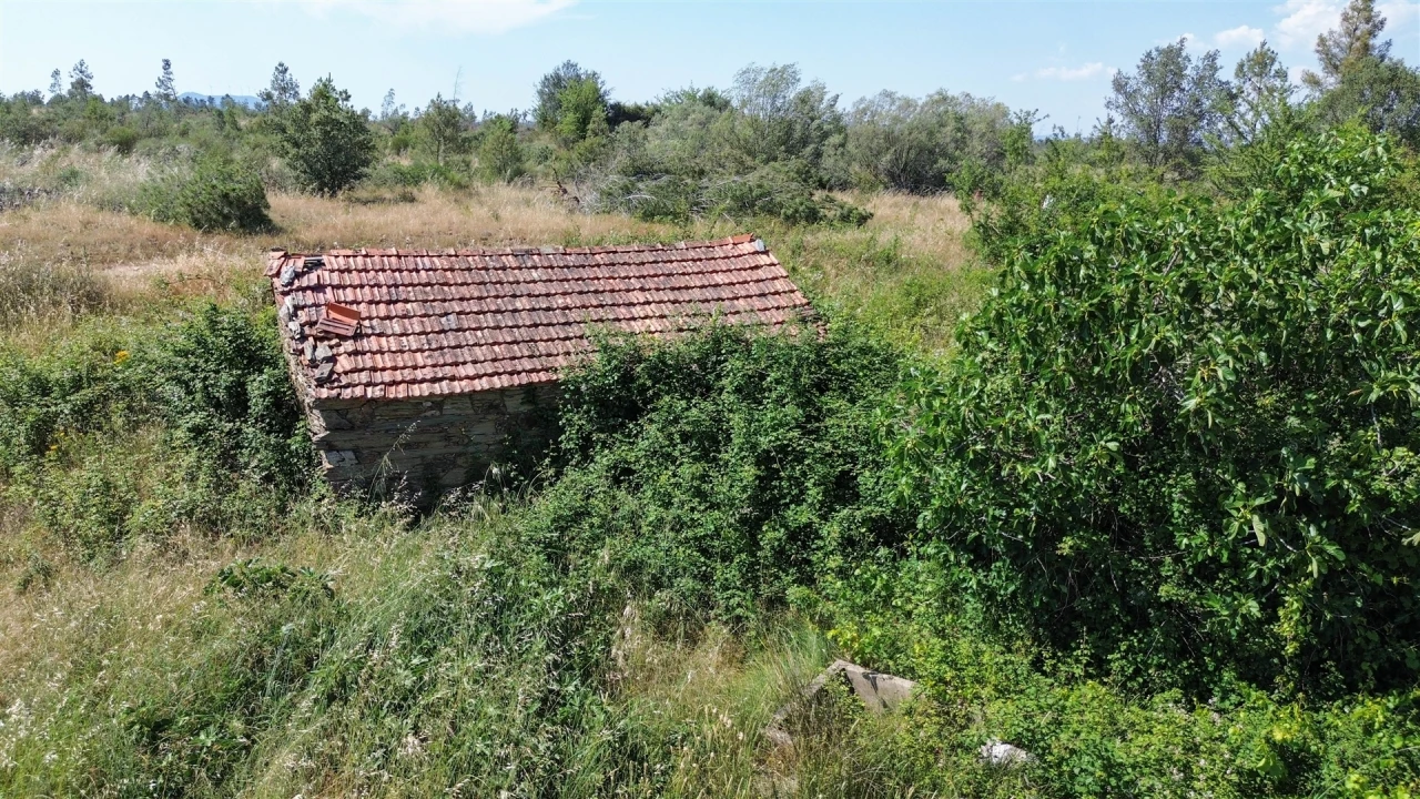 Quinta T0 para Venda em Sarzedas Foto 73
