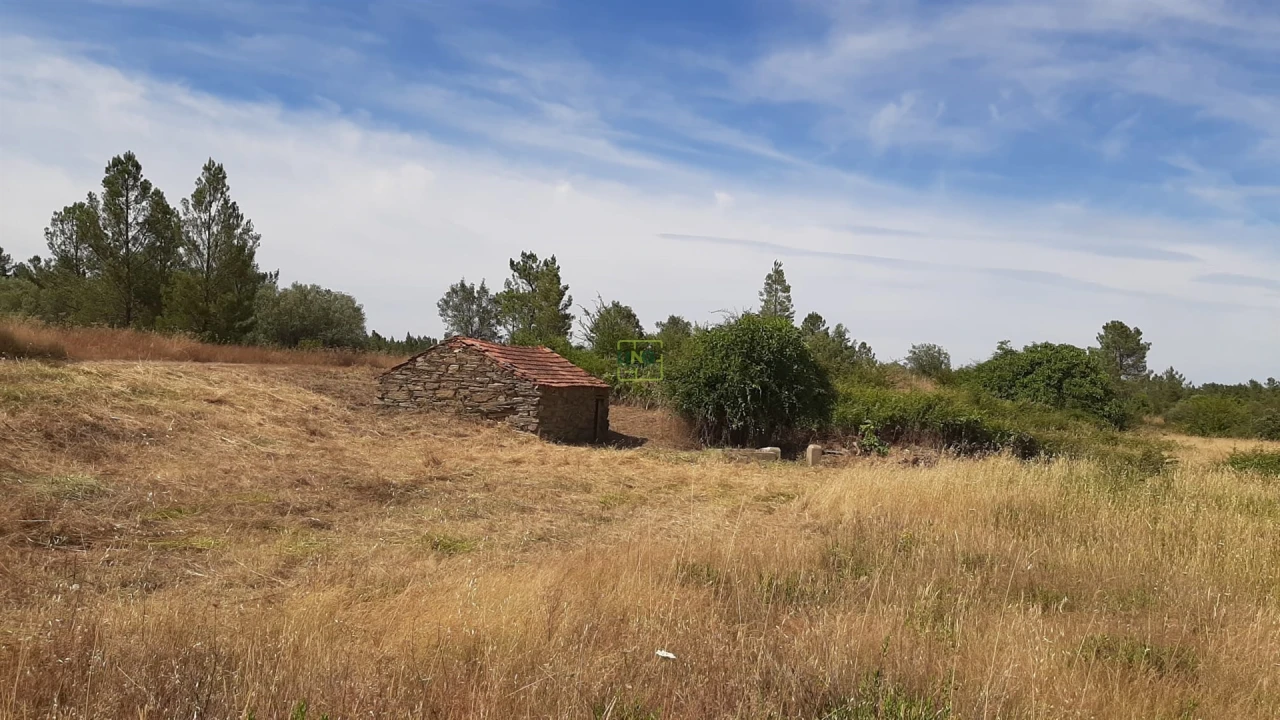 Quinta T0 para Venda em Sarzedas Foto 41