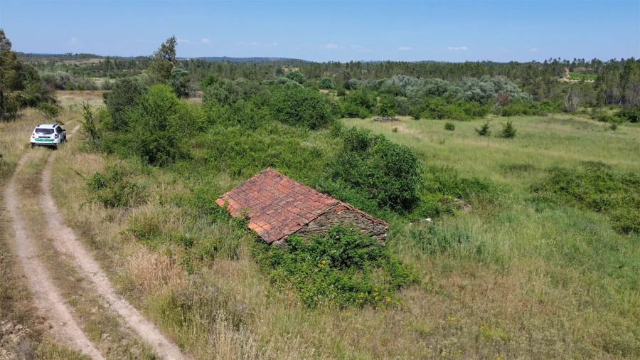 Quinta T0 para Venda em Sarzedas Foto 71