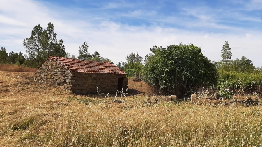 Quinta T0 para Venda em Sarzedas Foto 2