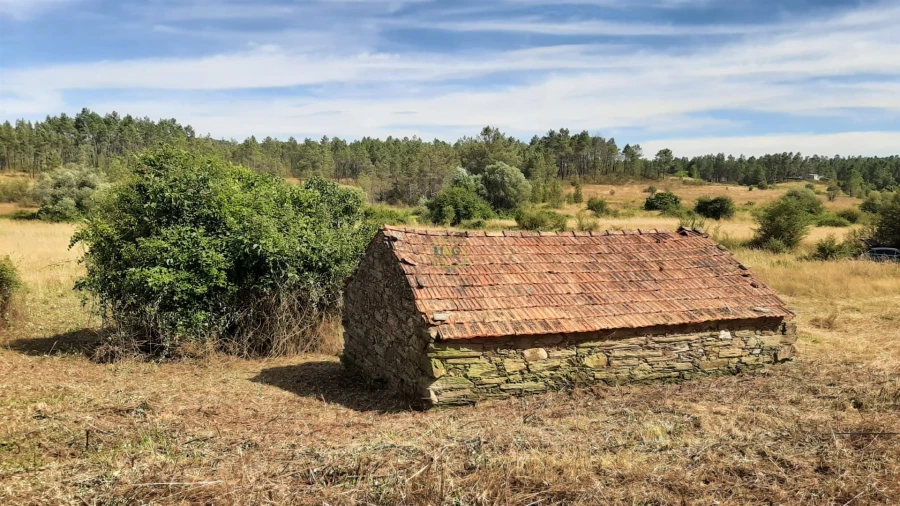 Quinta T0 para Venda em Sarzedas Foto 28
