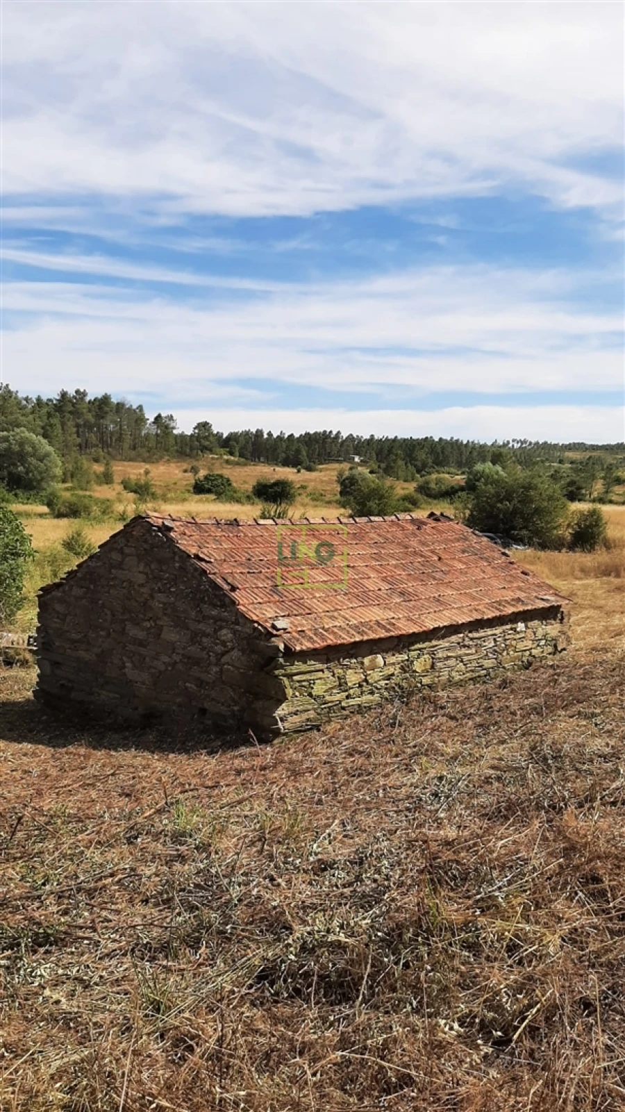Quinta T0 para Venda em Sarzedas Foto 26