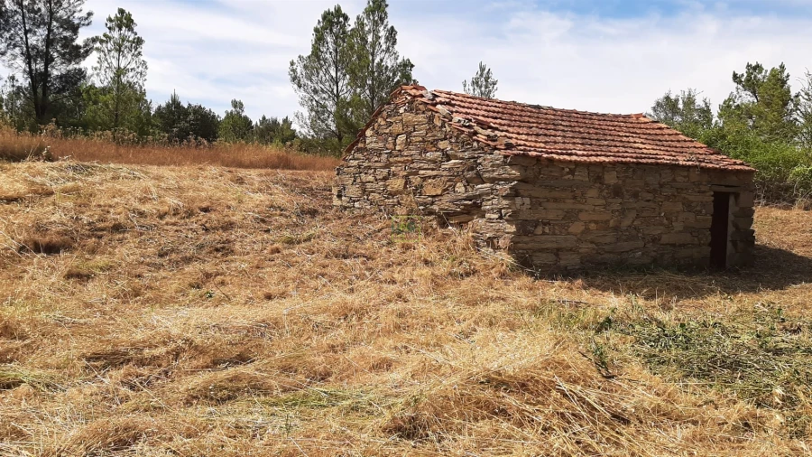 Quinta T0 para Venda em Sarzedas Foto 5