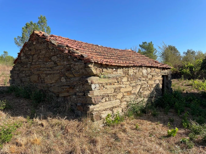 Quinta T0 para Venda em Sarzedas Foto 21