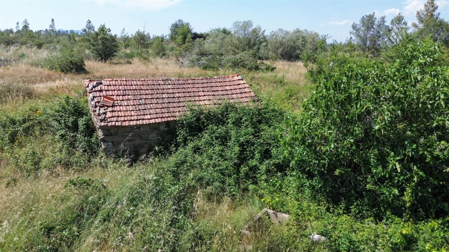 Quinta T0 para Venda em Sarzedas Foto 73