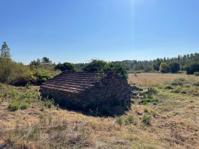 Quinta T0 para Venda em Sarzedas Foto 22