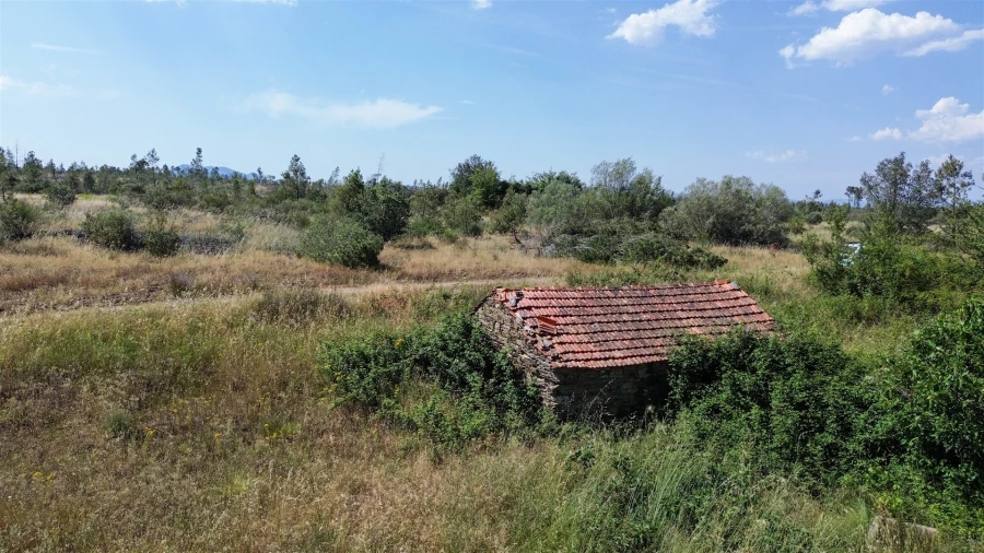 Quinta T0 para Venda em Sarzedas Foto 75