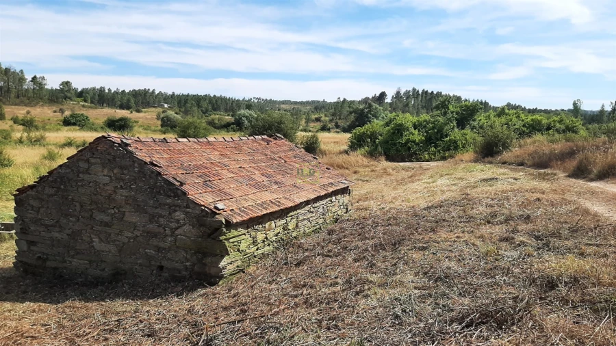Quinta T0 para Venda em Sarzedas Foto 20