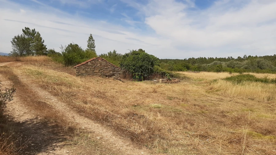 Quinta T0 para Venda em Sarzedas Foto 31