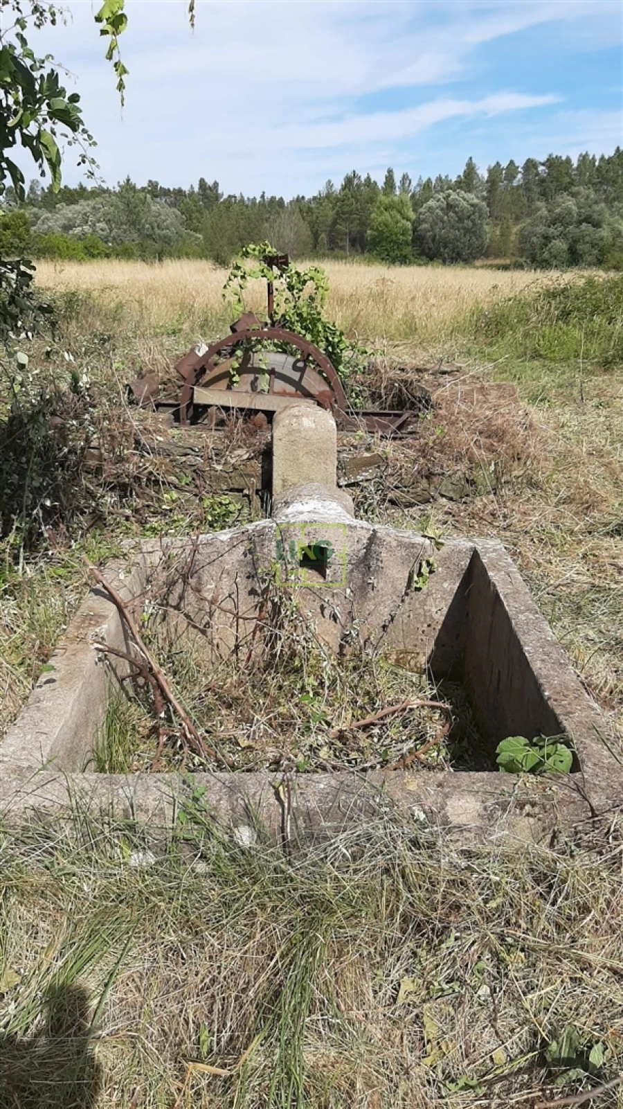 Quinta T0 para Venda em Sarzedas Foto 7