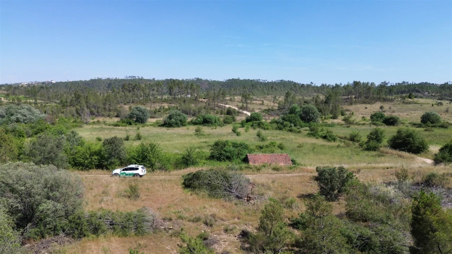 Quinta T0 para Venda em Sarzedas Foto 79