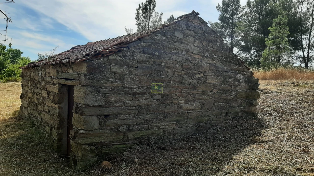 Quinta T0 para Venda em Sarzedas Foto 18