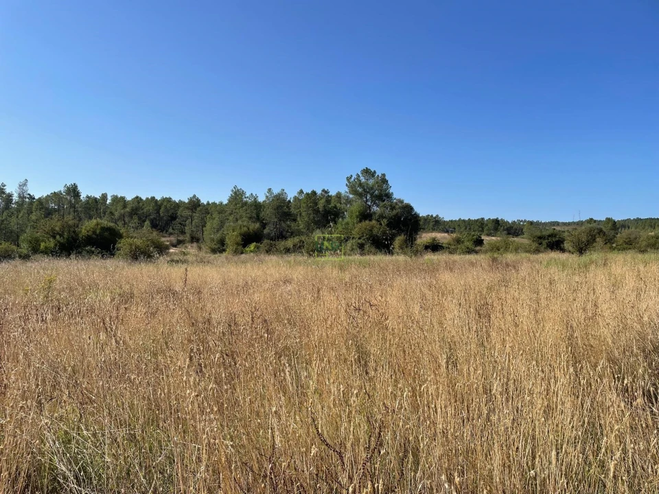 Quinta T0 para Venda em Sarzedas Foto 48