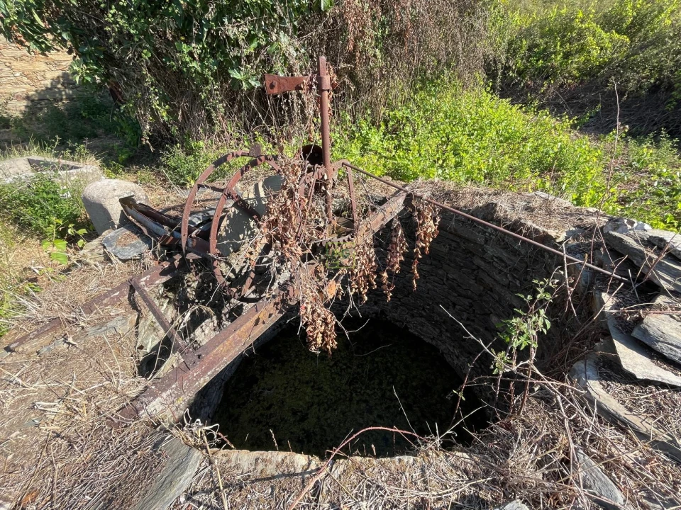Quinta T0 para Venda em Sarzedas Foto 17