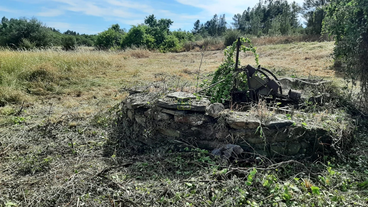 Quinta T0 para Venda em Sarzedas Foto 11