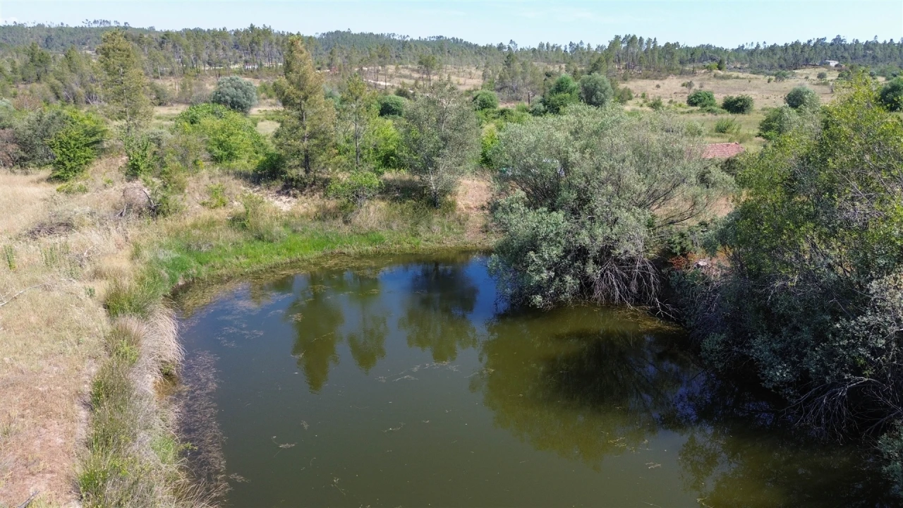 Quinta T0 para Venda em Sarzedas Foto 70