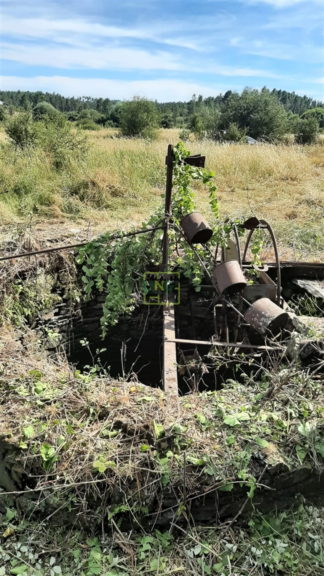 Quinta T0 para Venda em Sarzedas Foto 9