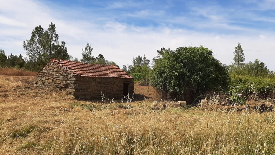 Quinta T0 para Venda em Sarzedas
