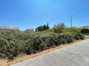 Terreno para Venda em Castelo Branco