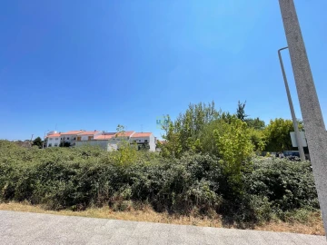 Terreno para Venda em Castelo Branco