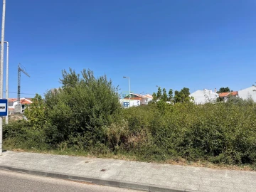 Terreno para Venda em Castelo Branco