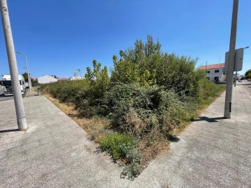 Terreno para Venda em Castelo Branco