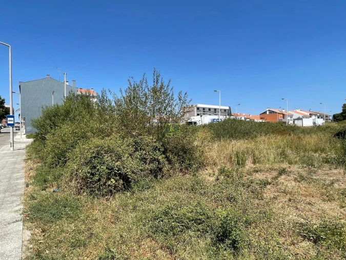 Terreno para Venda em Castelo Branco Foto 10