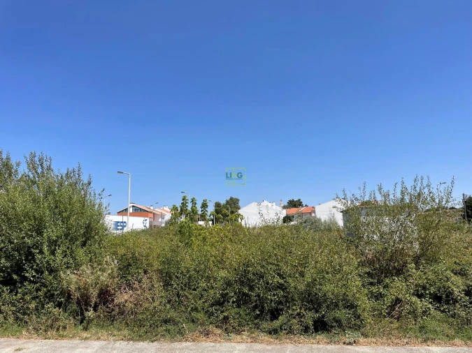 Terreno para Venda em Castelo Branco Foto 14