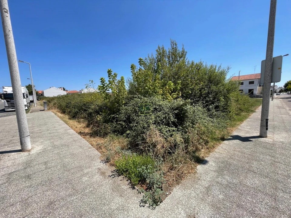 Terreno para Venda em Castelo Branco Foto 4