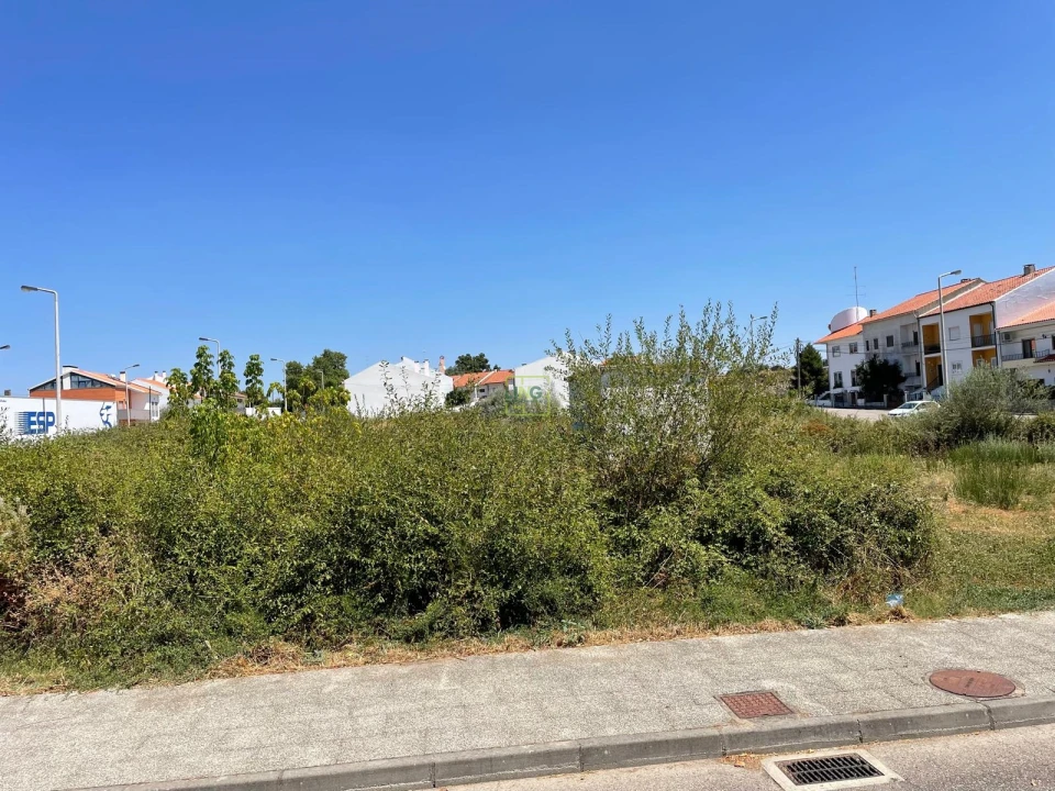 Terreno para Venda em Castelo Branco Foto 13