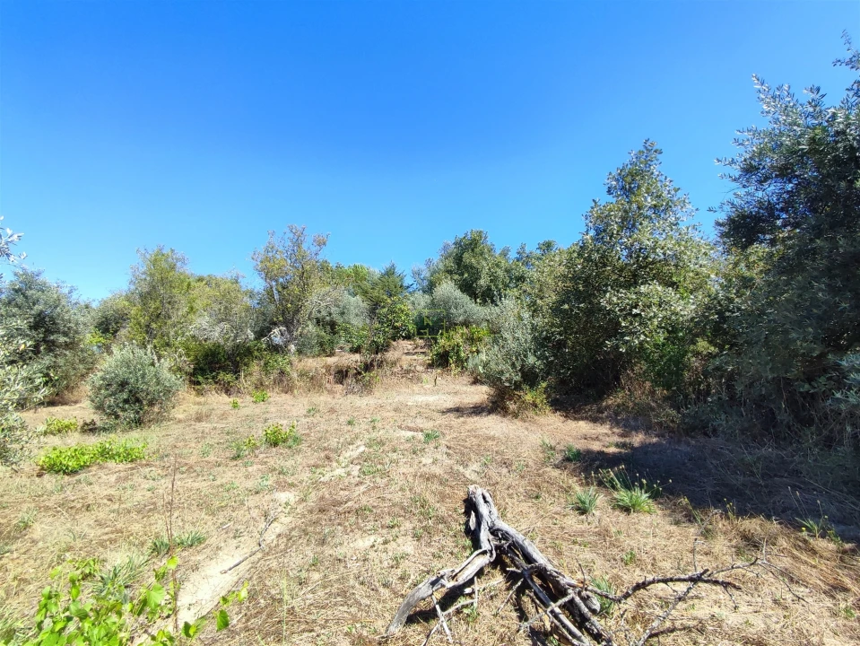 Terreno Agricola ou Rústico para Venda em Aldeia do Bispo, Águas e Aldeia de João Pires Foto 13