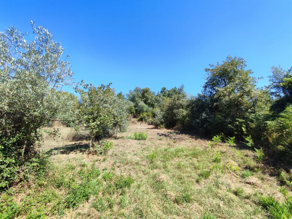 Terreno Agricola ou Rústico para Venda em Aldeia do Bispo, Águas e Aldeia de João Pires Foto 15
