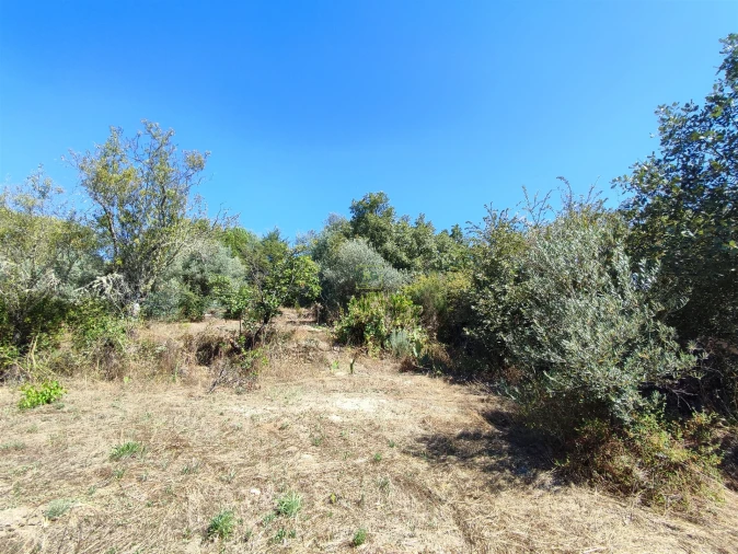 Terreno Agricola ou Rústico para Venda em Aldeia do Bispo, Águas e Aldeia de João Pires Foto 11
