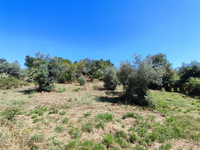 Terreno Agricola ou Rústico para Venda em Aldeia do Bispo, Águas e Aldeia de João Pires Foto 19