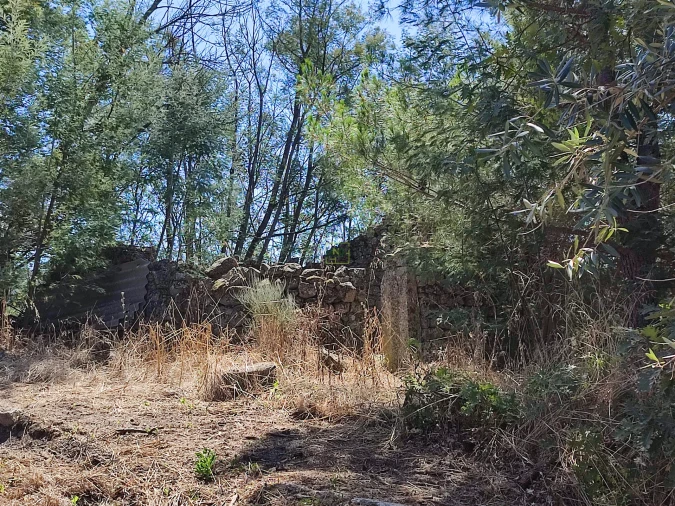 Terreno Agricola ou Rústico para Venda em Aldeia do Bispo, Águas e Aldeia de João Pires Foto 5
