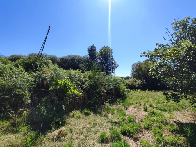 Terreno Agricola ou Rústico para Venda em Aldeia do Bispo, Águas e Aldeia de João Pires Foto 16