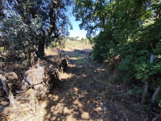 Terreno Agricola ou Rústico para Venda em Aldeia do Bispo, Águas e Aldeia de João Pires Foto 3