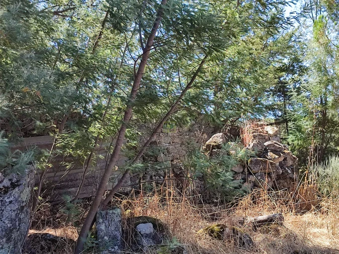 Terreno Agricola ou Rústico para Venda em Aldeia do Bispo, Águas e Aldeia de João Pires Foto 4