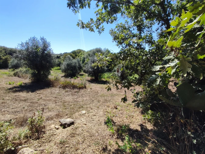 Terreno Agricola ou Rústico para Venda em Aldeia do Bispo, Águas e Aldeia de João Pires Foto 7
