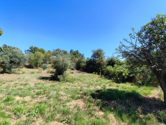 Terreno Agricola ou Rústico para Venda em Aldeia do Bispo, Águas e Aldeia de João Pires Foto 18