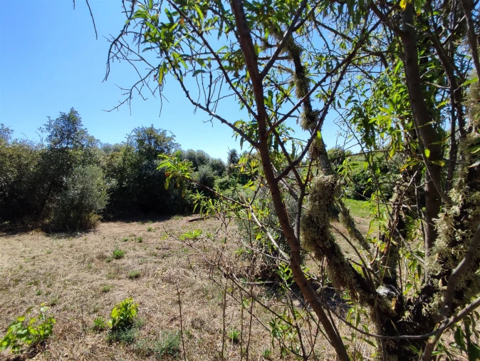 Terreno Agricola ou Rústico para Venda em Aldeia do Bispo, Águas e Aldeia de João Pires Foto 8