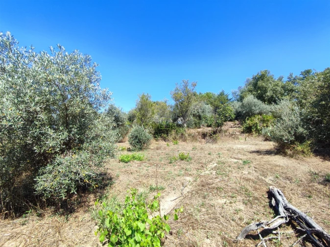 Terreno Agricola ou Rústico para Venda em Aldeia do Bispo, Águas e Aldeia de João Pires Foto 12